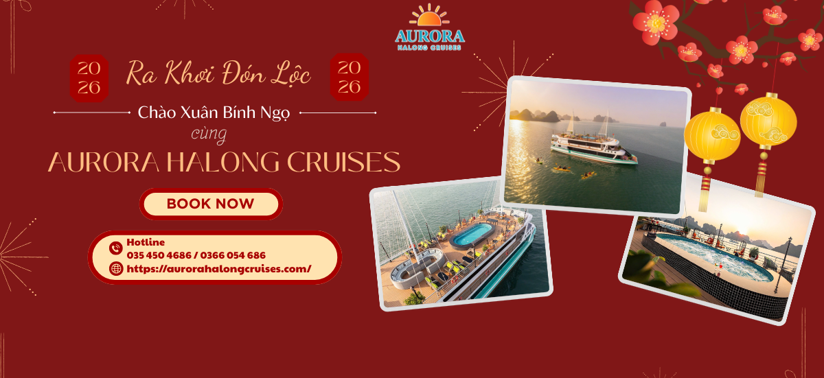 Ưu đãi 2026 - du thuyền Hạ Long Aurora Halong Cruises 