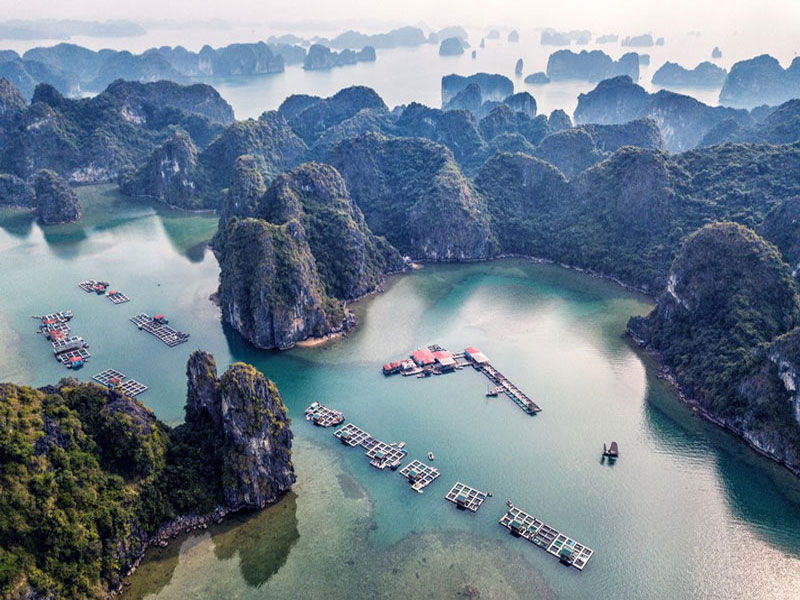 Aurora Bai Tu Long Cruises